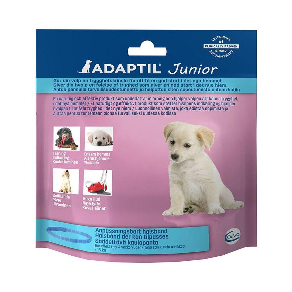 Buy Adaptil Junior Collar for your dog | Tinybuddy