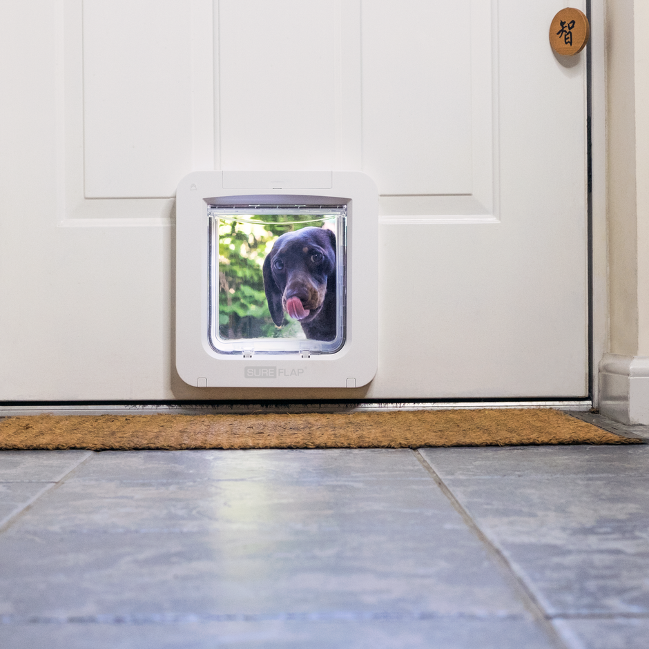 Buy SureFlap Microchip Pet Door Connect Tinybuddy