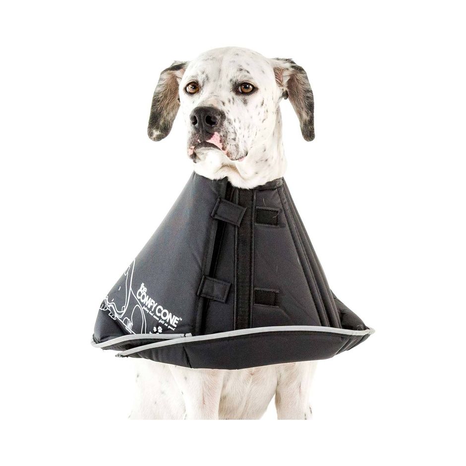 Buy Comfy Cone Soft Protective Dog Collar for your dog Tinybuddy