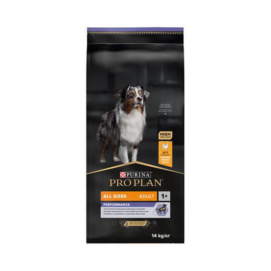 Buy PRO PLAN All Sizes Adult Performance for your dog | Tinybuddy