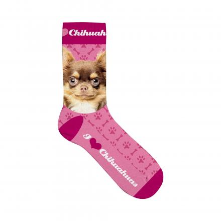 Socks with Dog Motif Chihuahua
