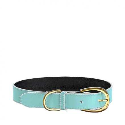 Swaggin Tails Collar - Turquoise