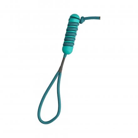 Twinte Training Toy - Turquoise