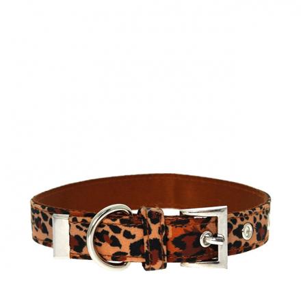 Urban Pup Collar - Cheetah